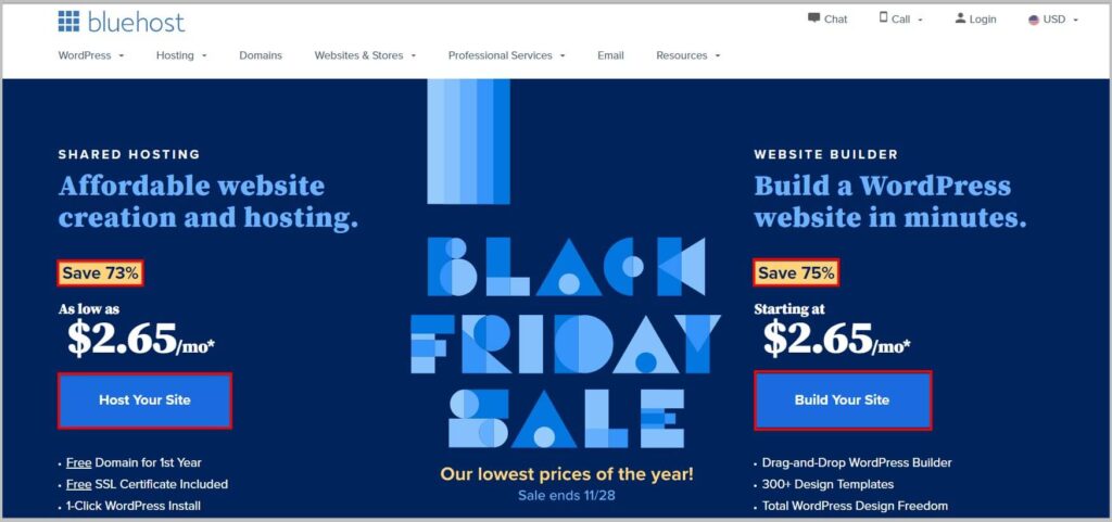 Bluehost homepage on Black Friday