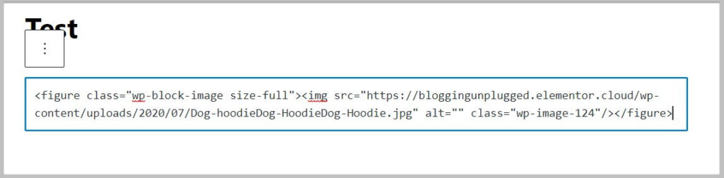 Pin converted to HTML in WordPress