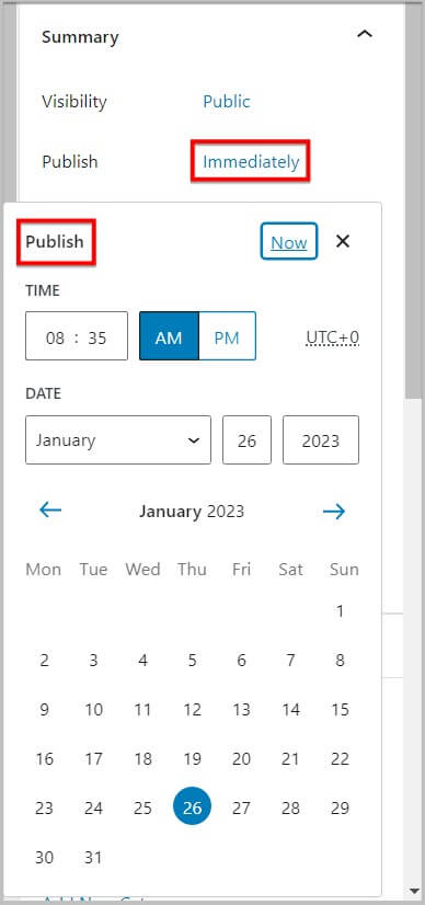 Date and Time picker in Post Publishing panel in WordPress 6.1